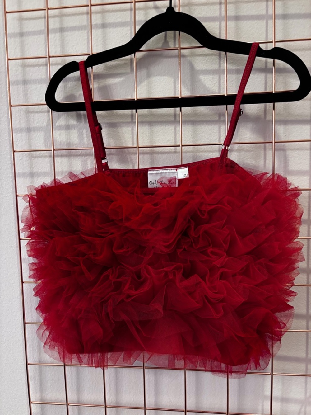Ooh! La, La! Couture Red Layered Tulle skirt and top